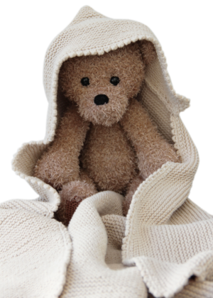 Teddy & blanket