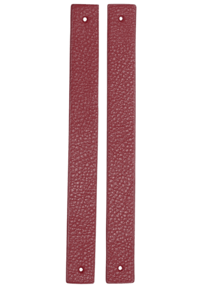 raspberry-en
