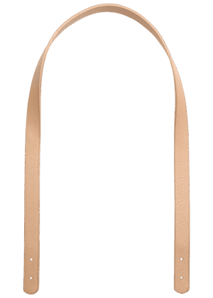 apricot-en