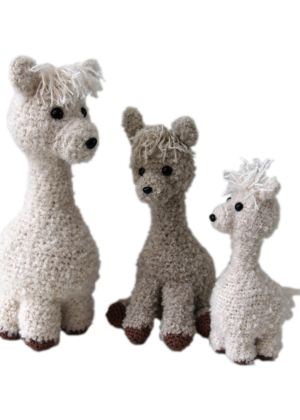 Alpaca family