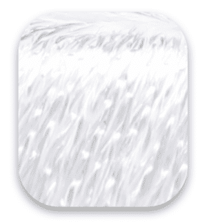 white-en