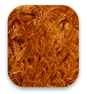 autumn-orange-en