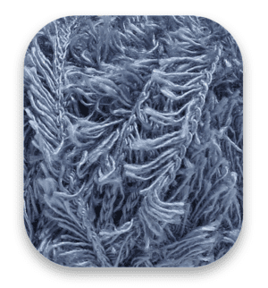 jeans-blue-en