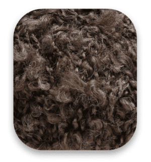 grey-brown