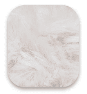 beige-en-fr