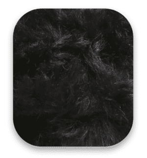 black-en-fr