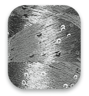 silver-en-de