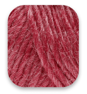 raspberry-en-nl