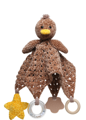 Sensory Duck
